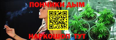 PSILOCYBIN Кулебаки