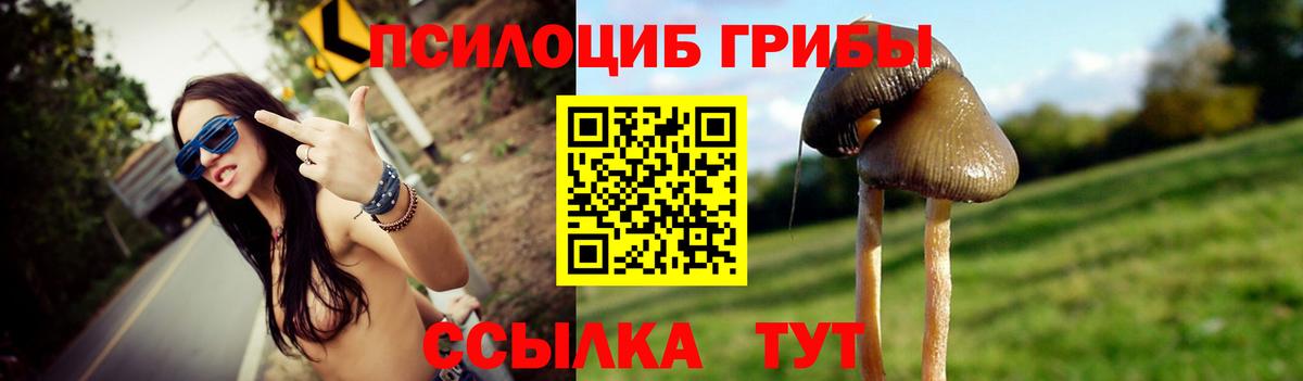 Псилоцибиновые грибы Magic Shrooms  Вход с VPN  Псилоцибиновые грибы ЛСД  Киров 